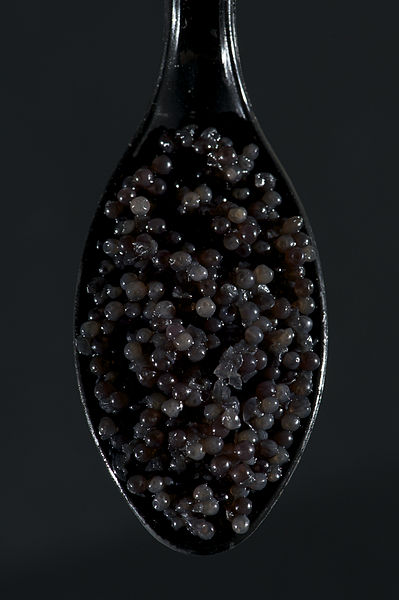 Caviar on Black