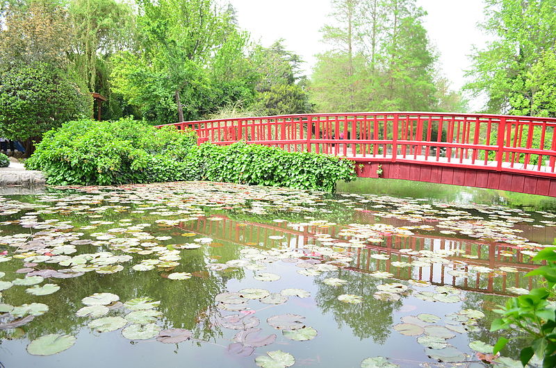 Flowers garden Isfahan Aarash