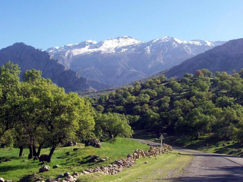 Landscape of Shadegan