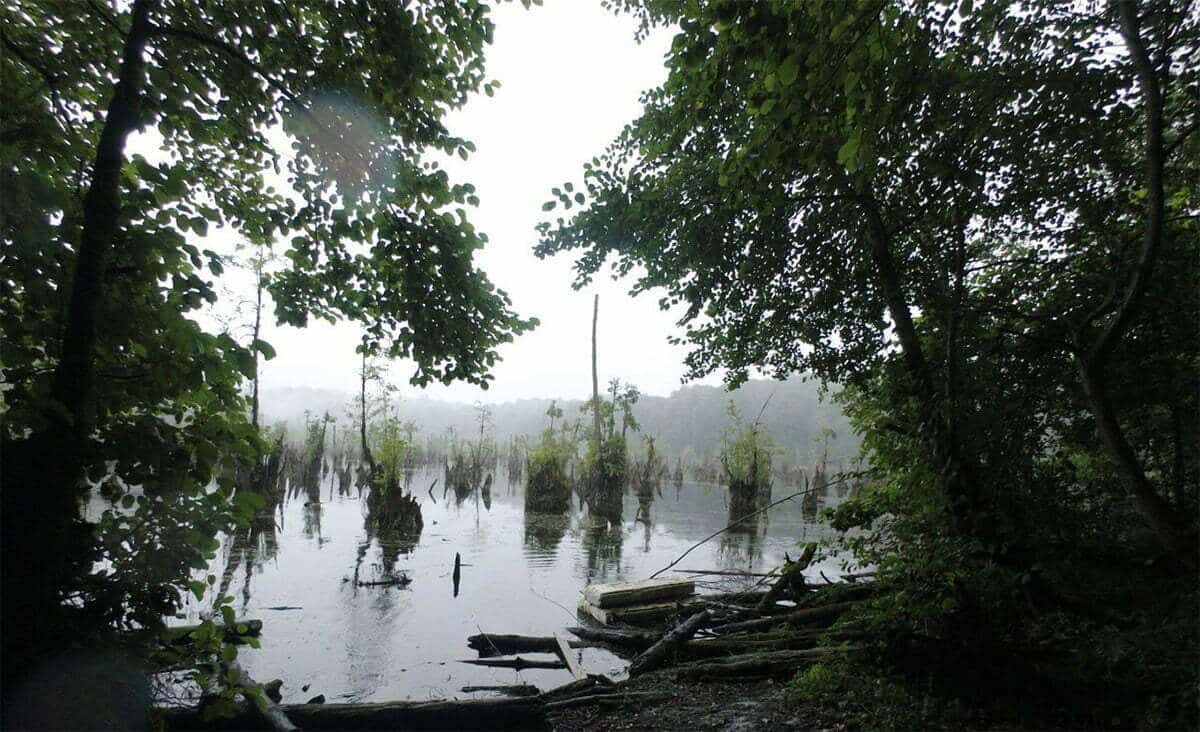 Nowshahr Ghost Lagoon - Dark Tourism destination in Iran with mysterious beauty