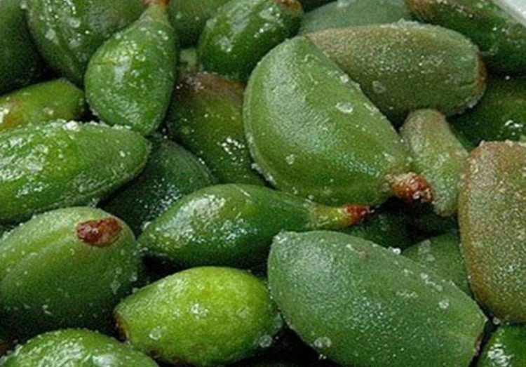Chaqaleh Badoom (Unripe almonds)