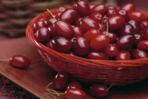 Zoqal Akhte (Dogberry)